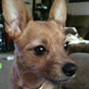 Meet your Posher, Deanna